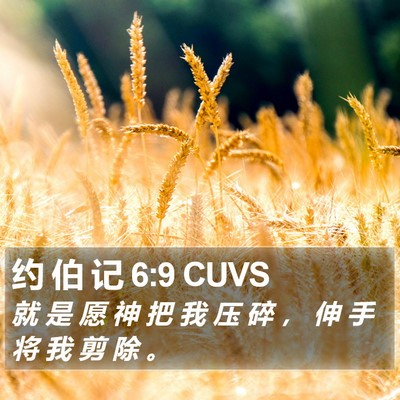 约 伯 记 6:9 CUVS Bible Verse Image