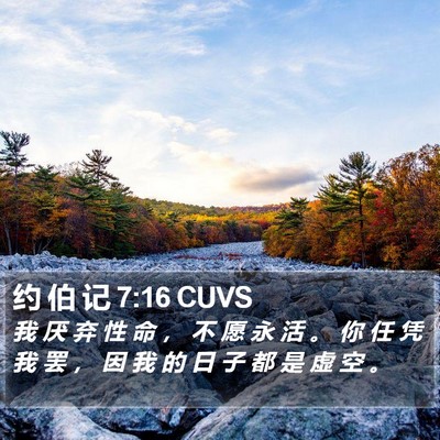 约 伯 记 7:16 CUVS Bible Verse Image