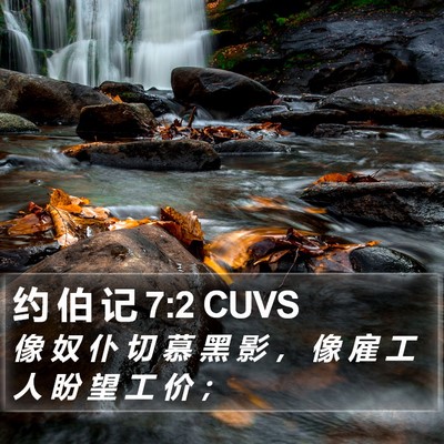 约 伯 记 7:2 CUVS Bible Verse Image