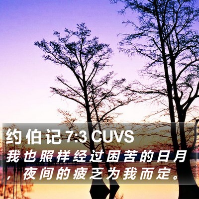 约 伯 记 7:3 CUVS Bible Verse Image