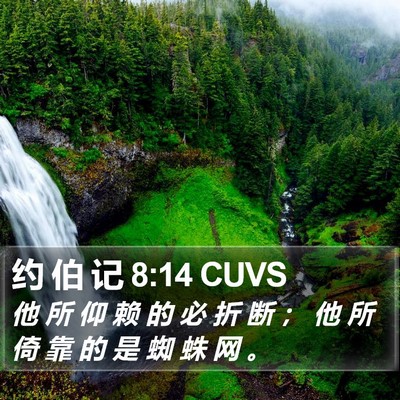 约 伯 记 8:14 CUVS Bible Verse Image