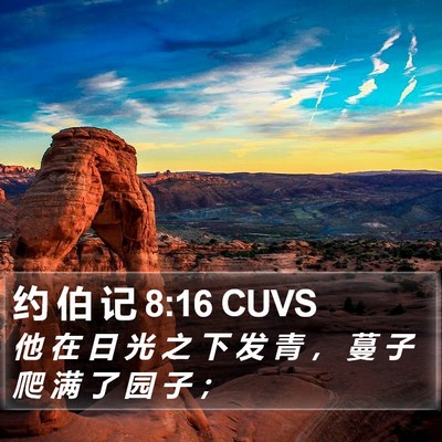 约 伯 记 8:16 CUVS Bible Verse Image