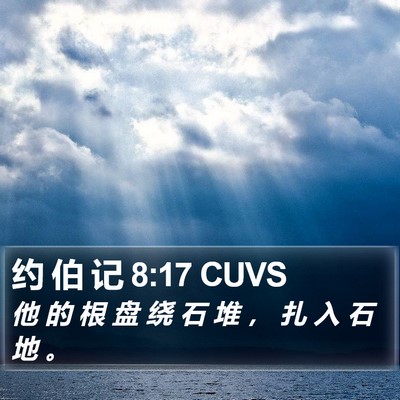 约 伯 记 8:17 CUVS Bible Verse Image