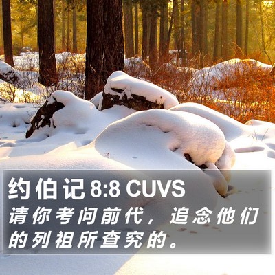 约 伯 记 8:8 CUVS Bible Verse Image
