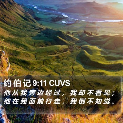 约 伯 记 9:11 CUVS Bible Verse Image