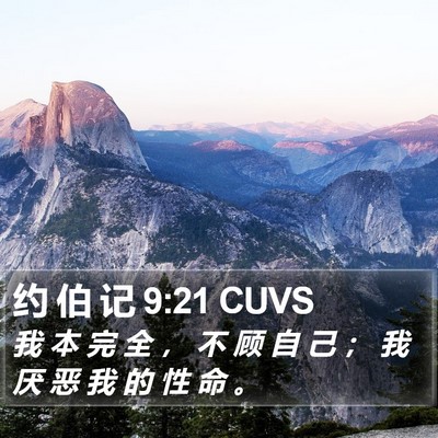 约 伯 记 9:21 CUVS Bible Verse Image
