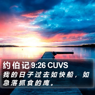约 伯 记 9:26 CUVS Bible Verse Image