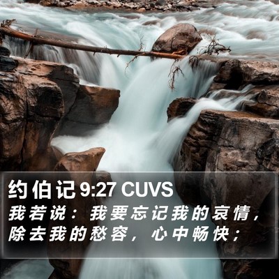 约 伯 记 9:27 CUVS Bible Verse Image