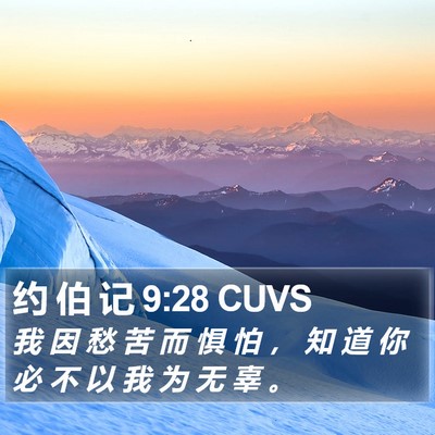 约 伯 记 9:28 CUVS Bible Verse Image
