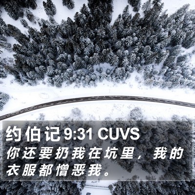 约 伯 记 9:31 CUVS Bible Verse Image