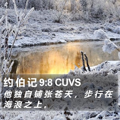 约 伯 记 9:8 CUVS Bible Verse Image
