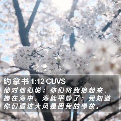 约 拿 书 1:12 CUVS Bible Verse Image