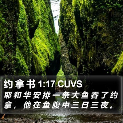 约 拿 书 1:17 CUVS Bible Verse Image