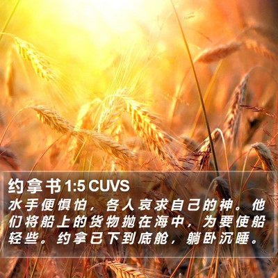 约 拿 书 1:5 CUVS Bible Verse Image