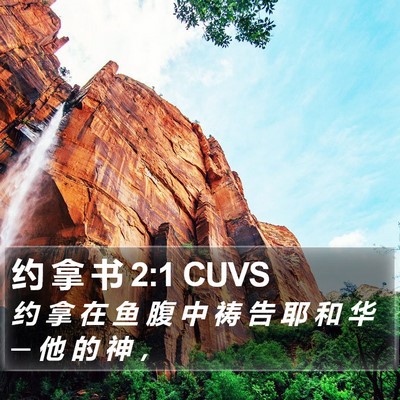 约 拿 书 2:1 CUVS Bible Verse Image