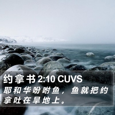 约 拿 书 2:10 CUVS Bible Verse Image