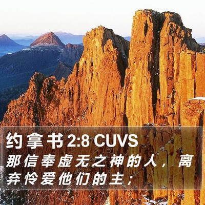 约 拿 书 2:8 CUVS Bible Verse Image