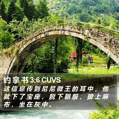 约 拿 书 3:6 CUVS Bible Verse Image