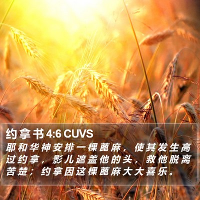 约 拿 书 4:6 CUVS Bible Verse Image