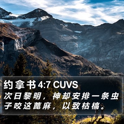 约 拿 书 4:7 CUVS Bible Verse Image