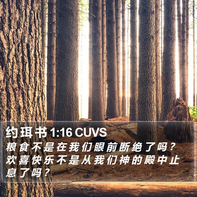 约 珥 书 1:16 CUVS Bible Verse Image