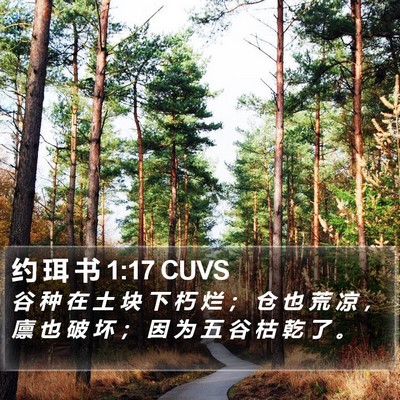 约 珥 书 1:17 CUVS Bible Verse Image