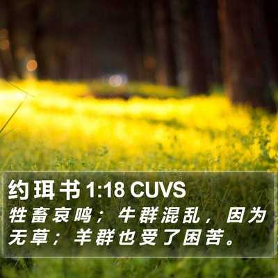 约 珥 书 1:18 CUVS Bible Verse Image