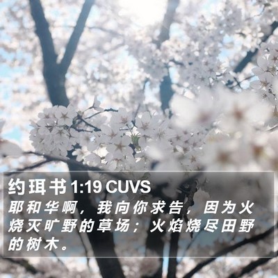 约 珥 书 1:19 CUVS Bible Verse Image