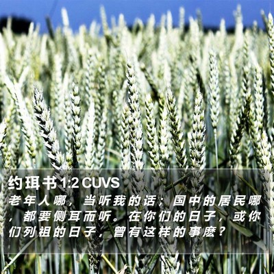 约 珥 书 1:2 CUVS Bible Verse Image