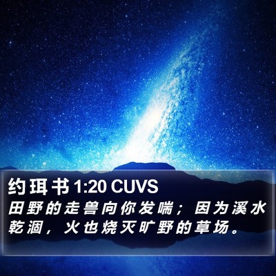 约 珥 书 1:20 CUVS Bible Verse Image