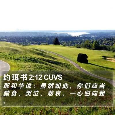 约 珥 书 2:12 CUVS Bible Verse Image