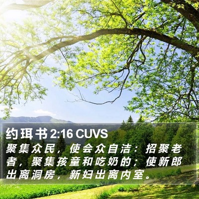 约 珥 书 2:16 CUVS Bible Verse Image