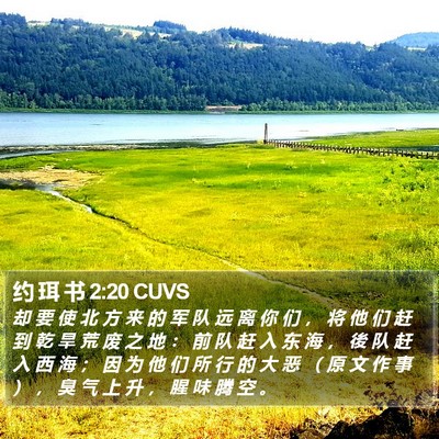 约 珥 书 2:20 CUVS Bible Verse Image