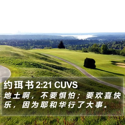 约 珥 书 2:21 CUVS Bible Verse Image
