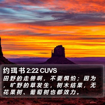 约 珥 书 2:22 CUVS Bible Verse Image