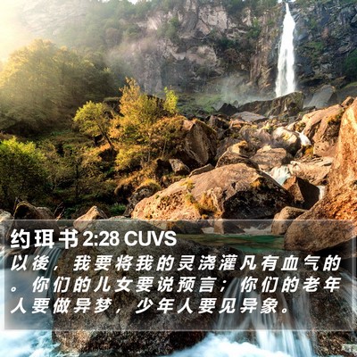 约 珥 书 2:28 CUVS Bible Verse Image