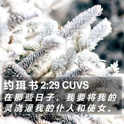 约 珥 书 2:29 CUVS Bible Verse Image