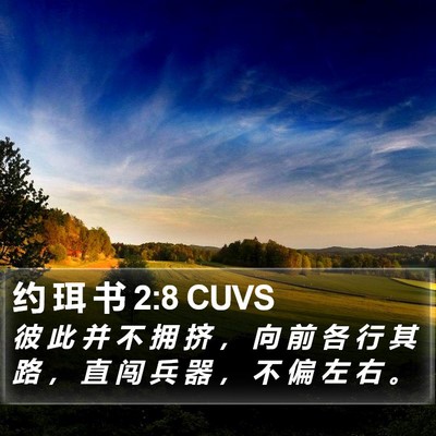 约 珥 书 2:8 CUVS Bible Verse Image