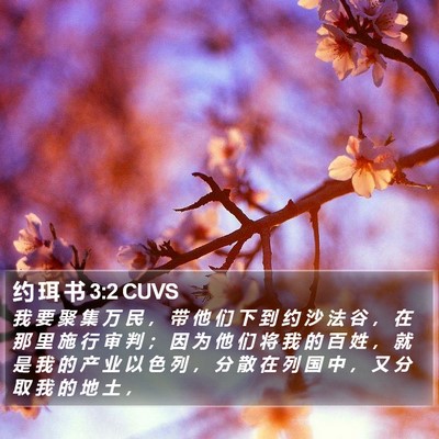 约 珥 书 3:2 CUVS Bible Verse Image