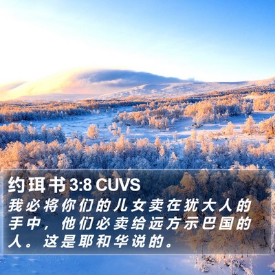 约 珥 书 3:8 CUVS Bible Verse Image