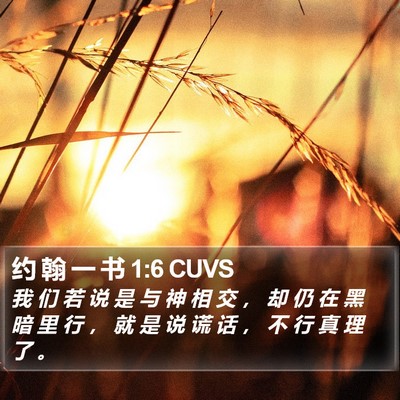 约 翰 一 书 1:6 CUVS Bible Verse Image