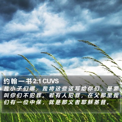 约 翰 一 书 2:1 CUVS Bible Verse Image
