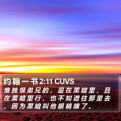 约 翰 一 书 2:11 CUVS Bible Verse Image