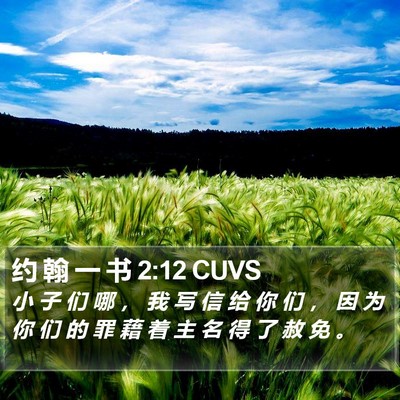 约 翰 一 书 2:12 CUVS Bible Verse Image