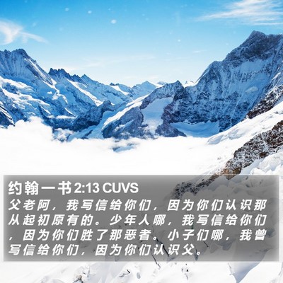 约 翰 一 书 2:13 CUVS Bible Verse Image
