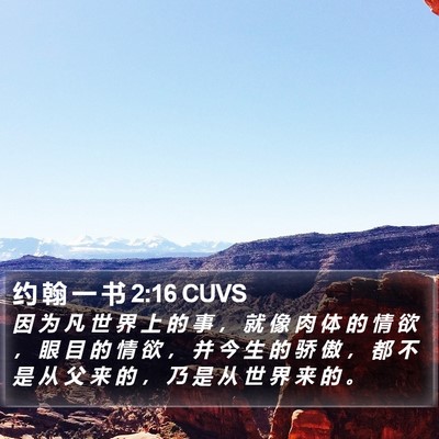 约 翰 一 书 2:16 CUVS Bible Verse Image