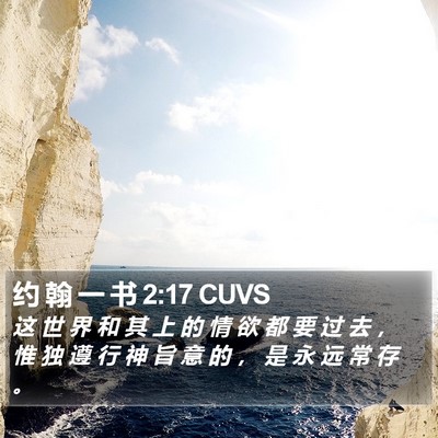 约 翰 一 书 2:17 CUVS Bible Verse Image