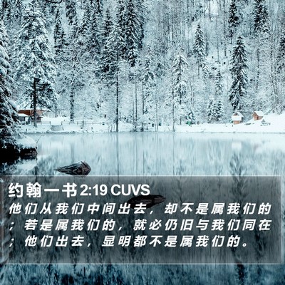 约 翰 一 书 2:19 CUVS Bible Verse Image