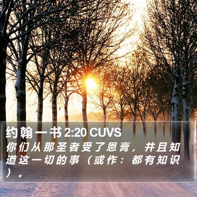 约 翰 一 书 2:20 CUVS Bible Verse Image