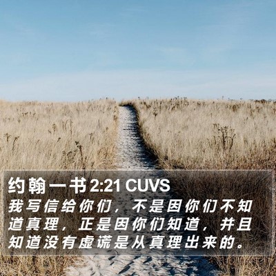 约 翰 一 书 2:21 CUVS Bible Verse Image